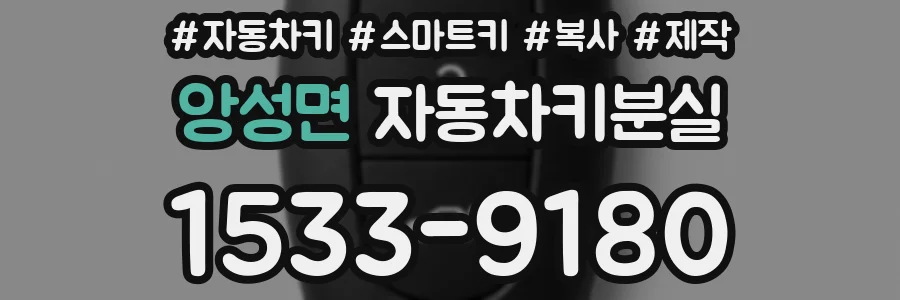 앙성면 자동차키분실