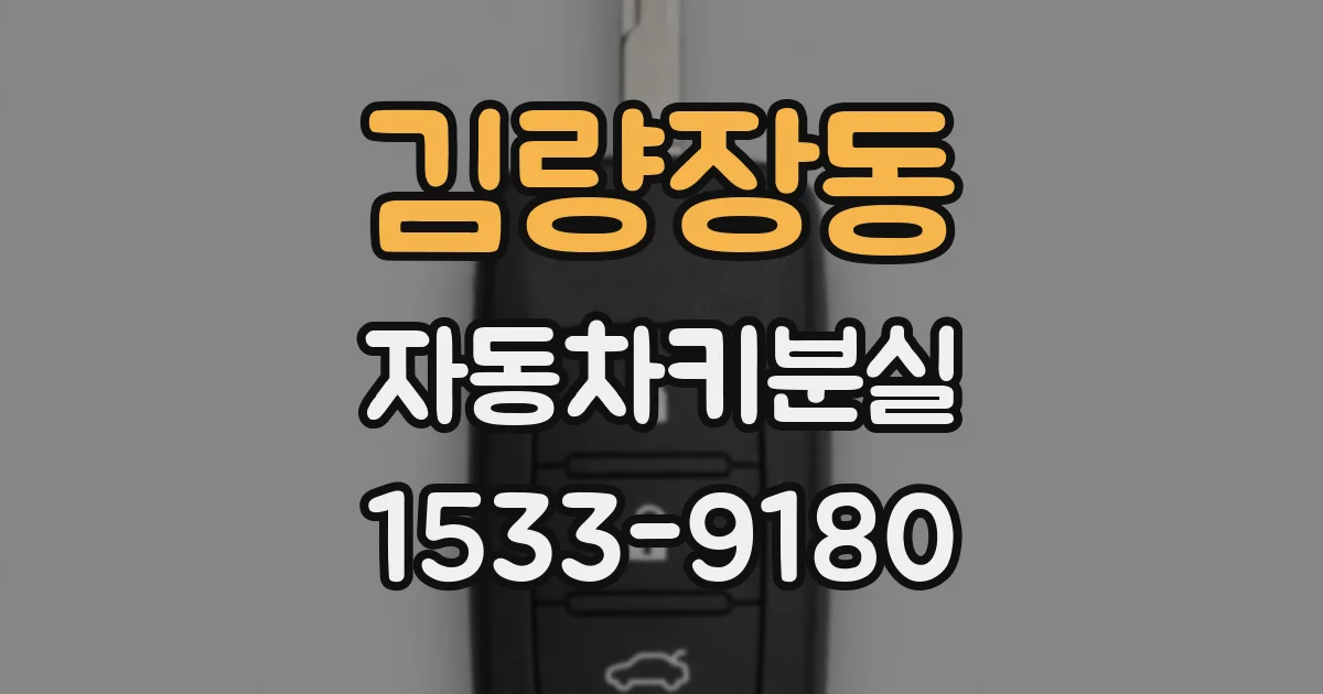 김량장동 자동차키분실