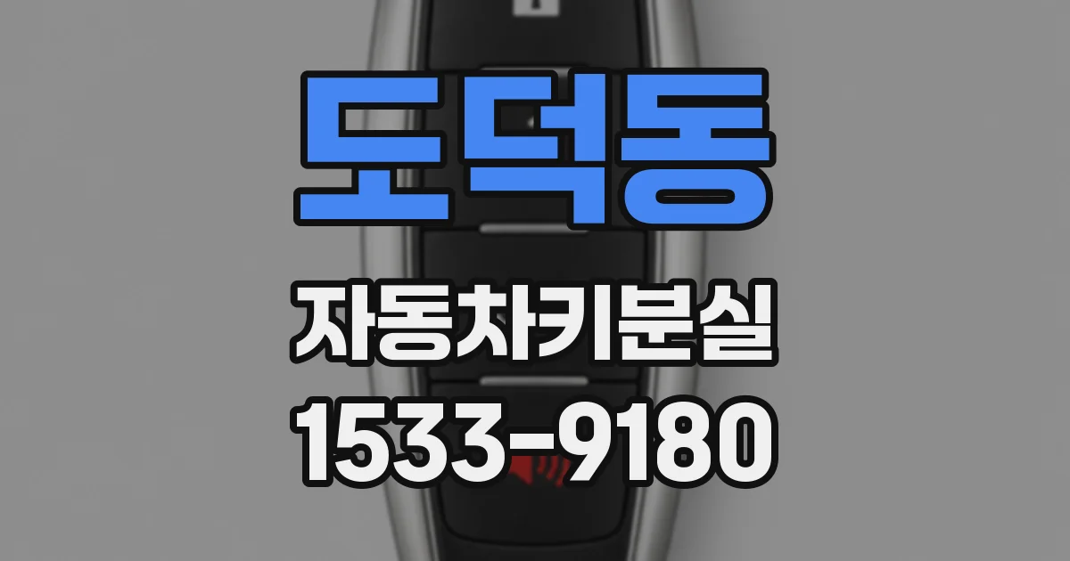 도덕동 자동차키분실