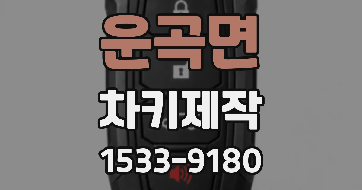 운곡면 차키제작