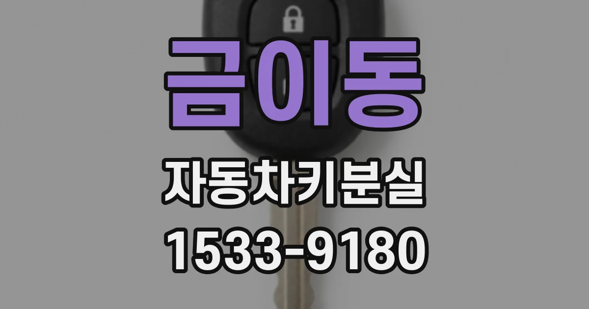금이동 자동차키분실