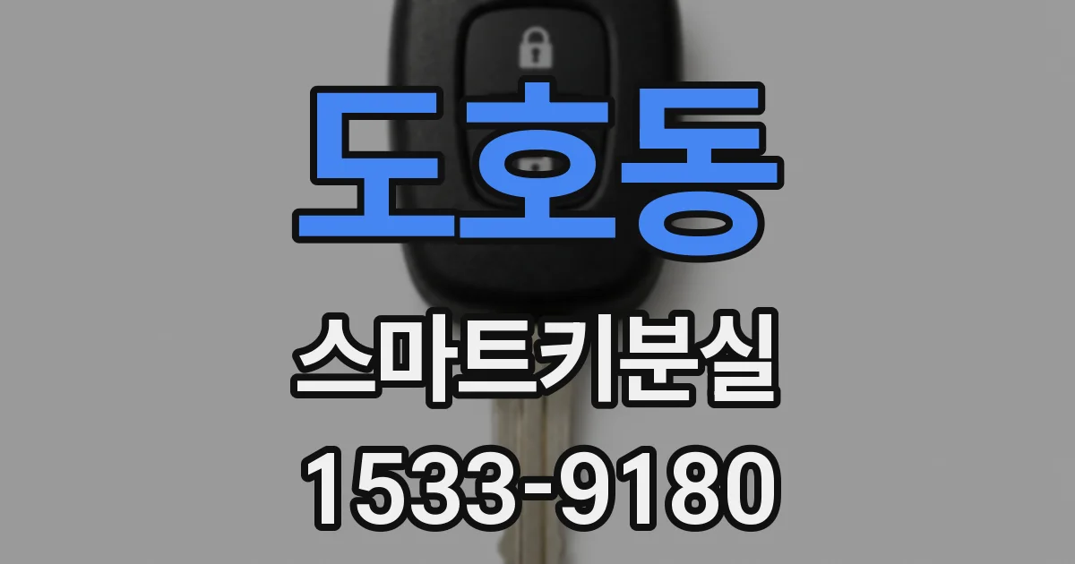 도호동 스마트키분실
