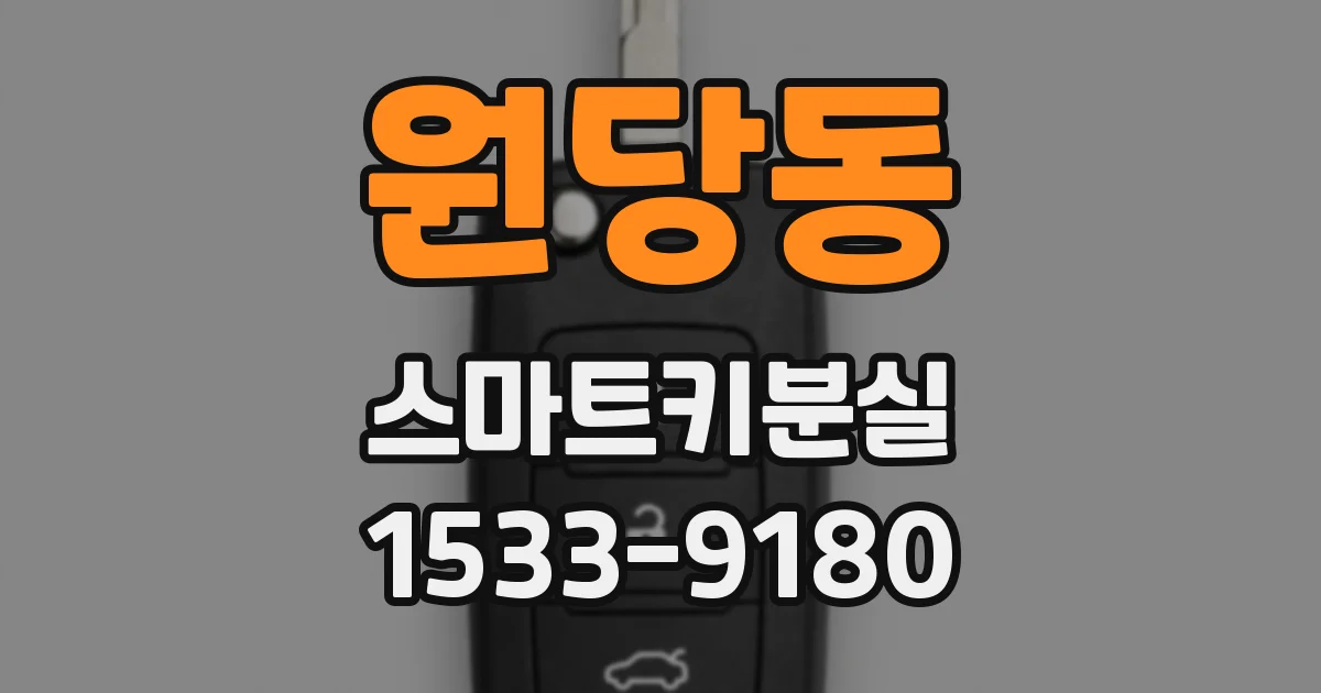 원당동 스마트키분실