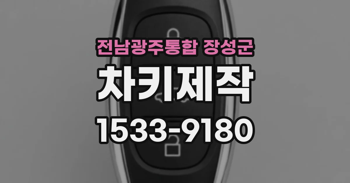 전남광주통합 장성군 차키제작