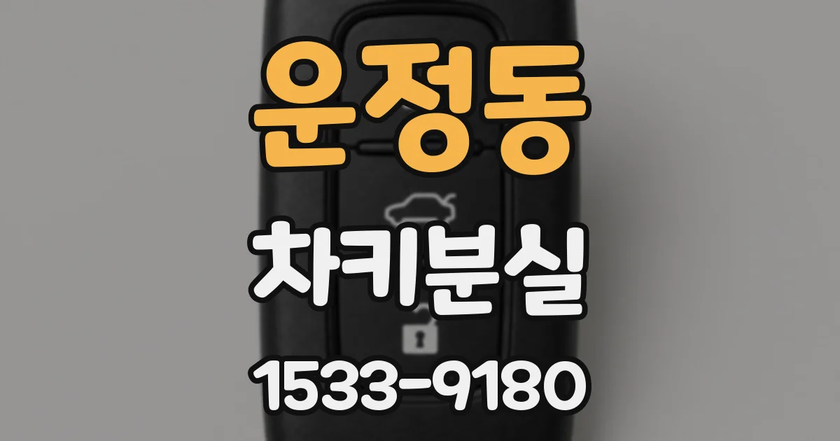 운정동 차키분실