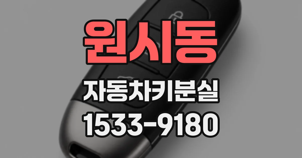원시동 자동차키분실