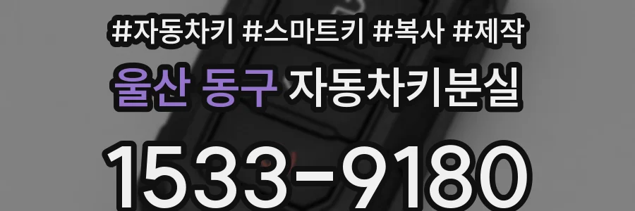 울산 동구 자동차키분실
