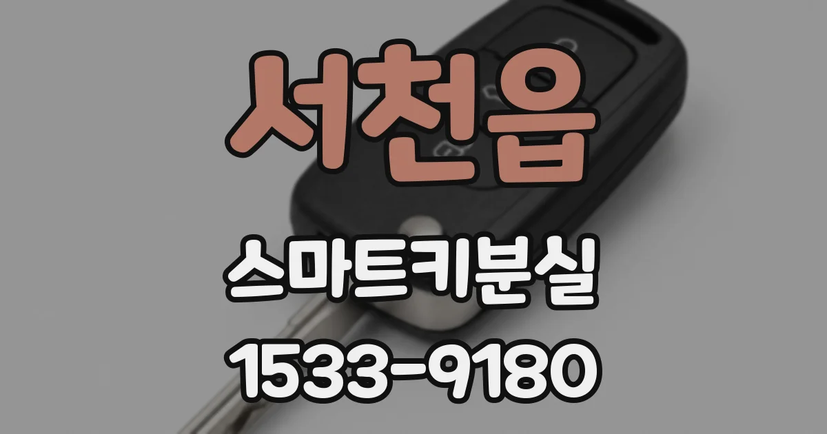 서천읍 스마트키분실