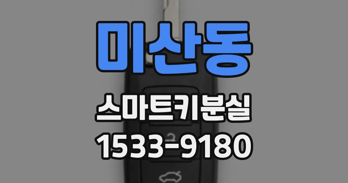 미산동 스마트키분실
