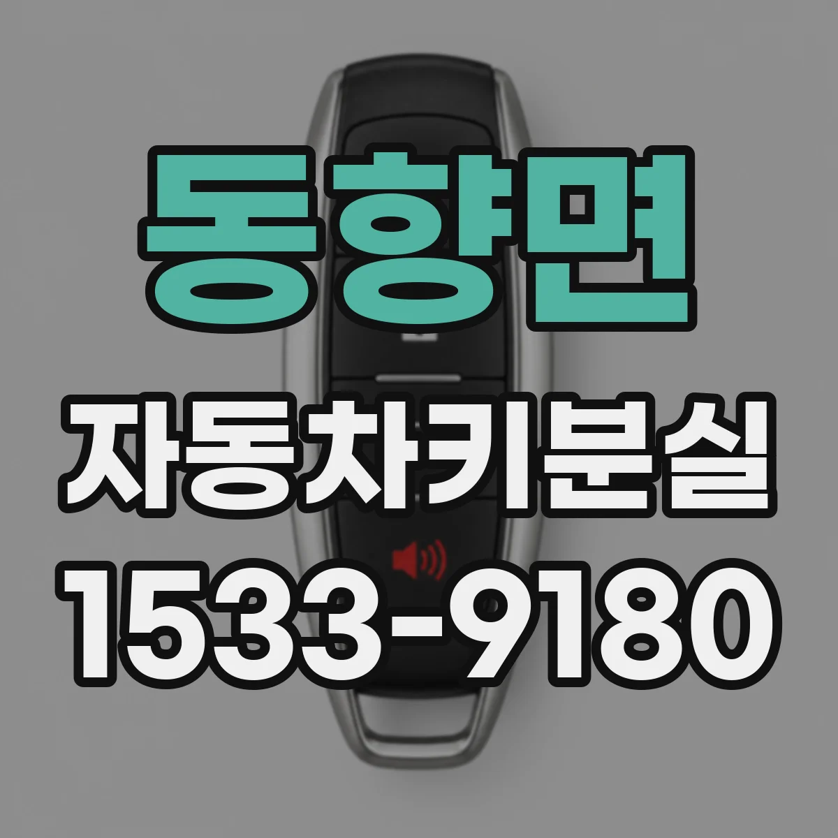 동향면 자동차키분실