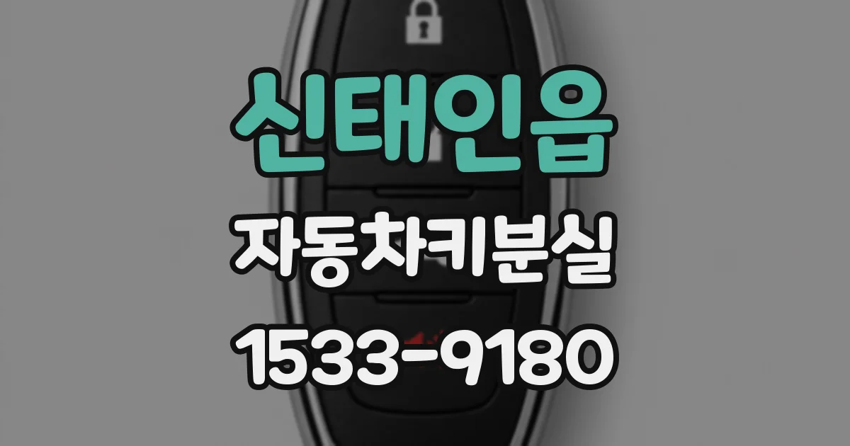 신태인읍 자동차키분실