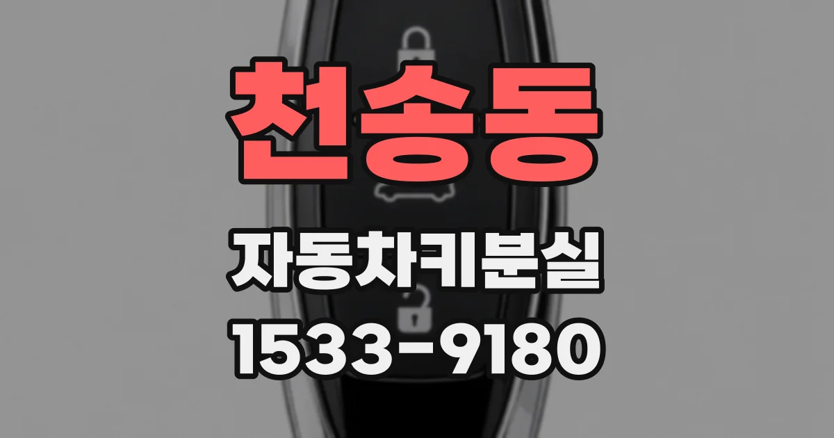 천송동 자동차키분실