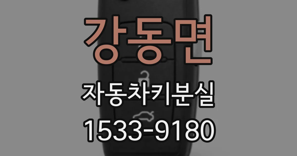 강동면 자동차키분실
