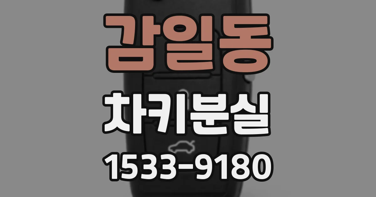감일동 차키분실