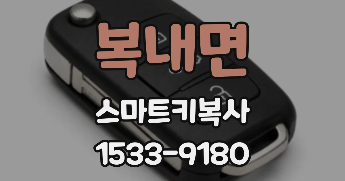복내면 스마트키복사
