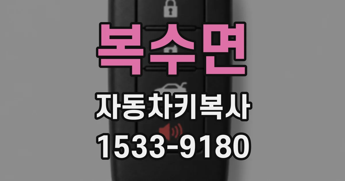 복수면 자동차키복사
