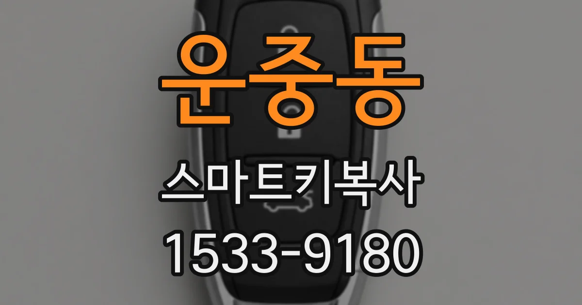 운중동 스마트키복사