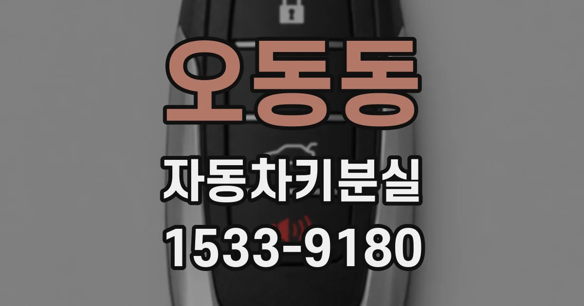 오동동 자동차키분실