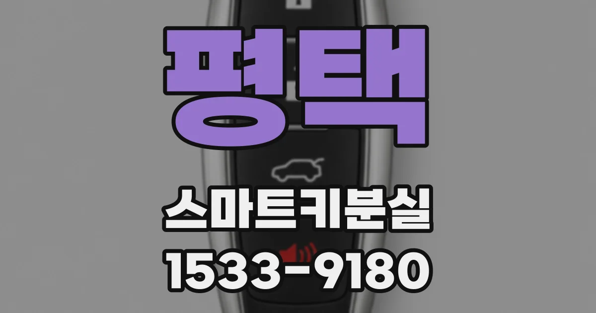 평택 스마트키분실