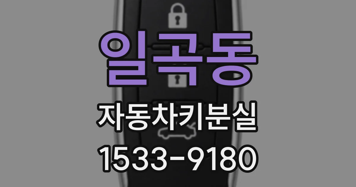 일곡동 자동차키분실