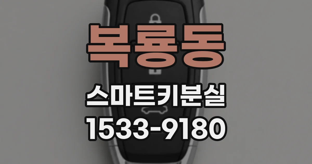 복룡동 스마트키분실