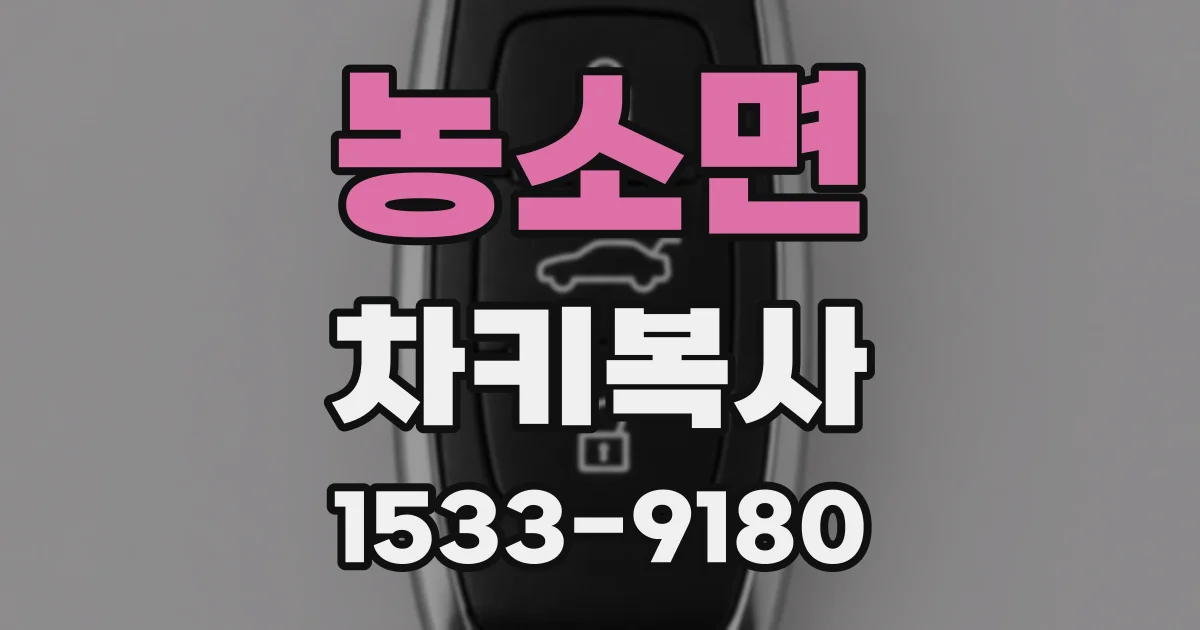 농소면 차키복사