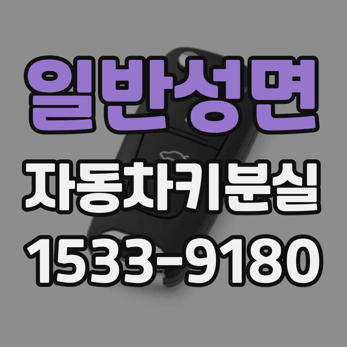 일반성면 자동차키분실