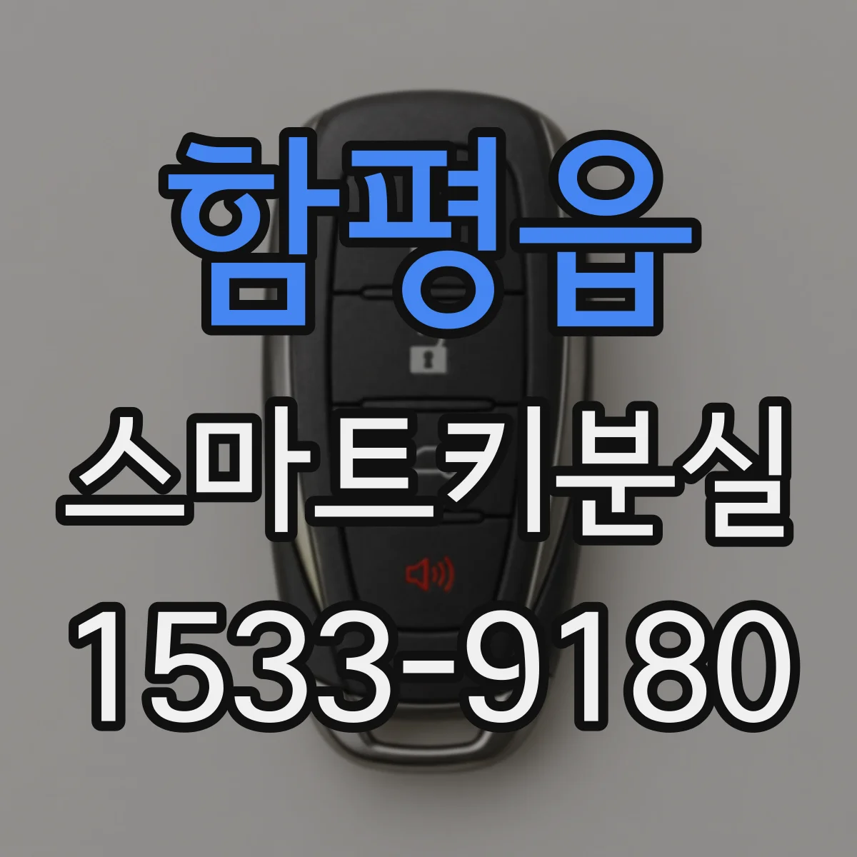 함평읍 스마트키분실