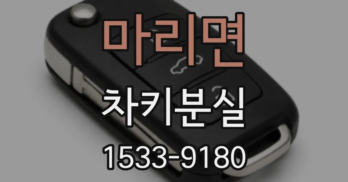 마리면 차키분실