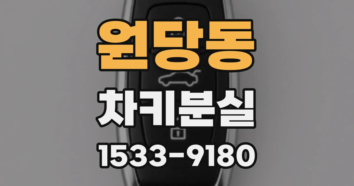 원당동 차키분실