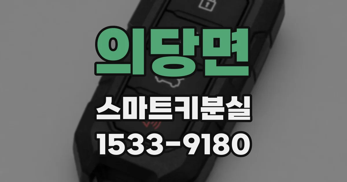 의당면 스마트키분실
