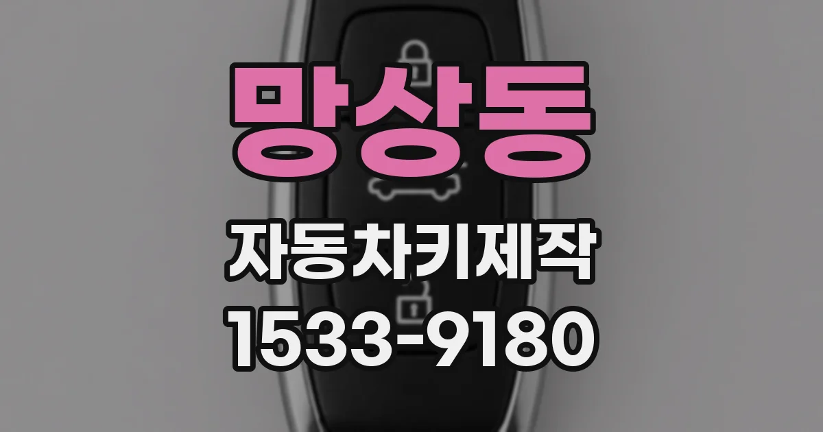 망상동 자동차키제작