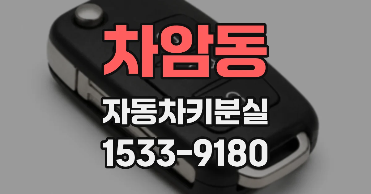 차암동 자동차키분실