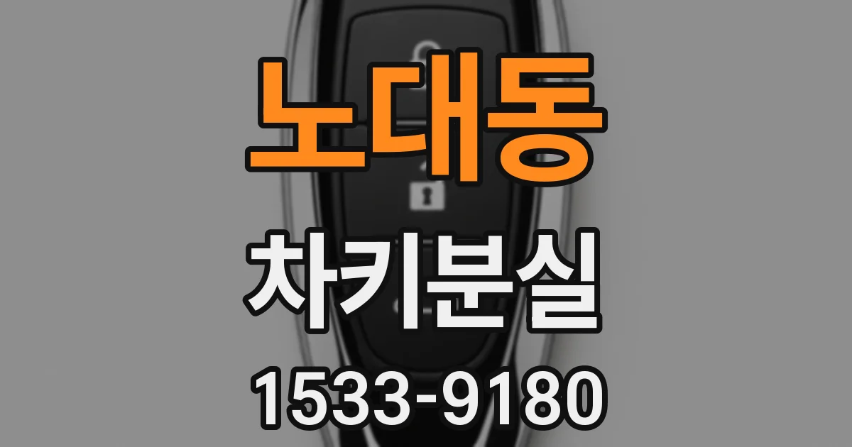 노대동 차키분실