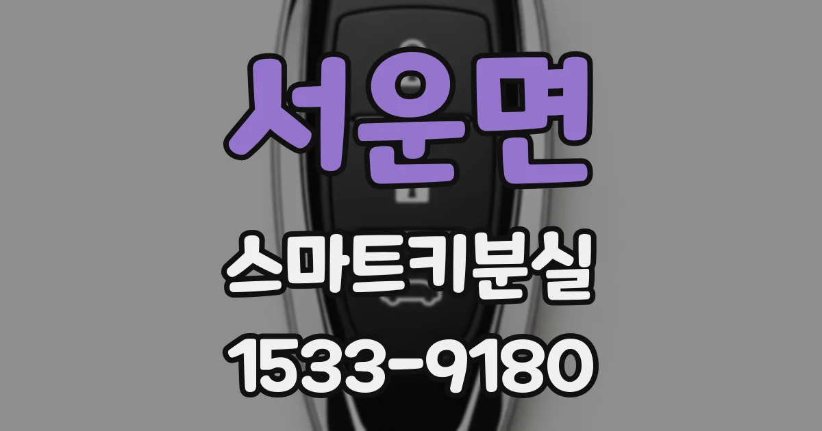 서운면 스마트키분실