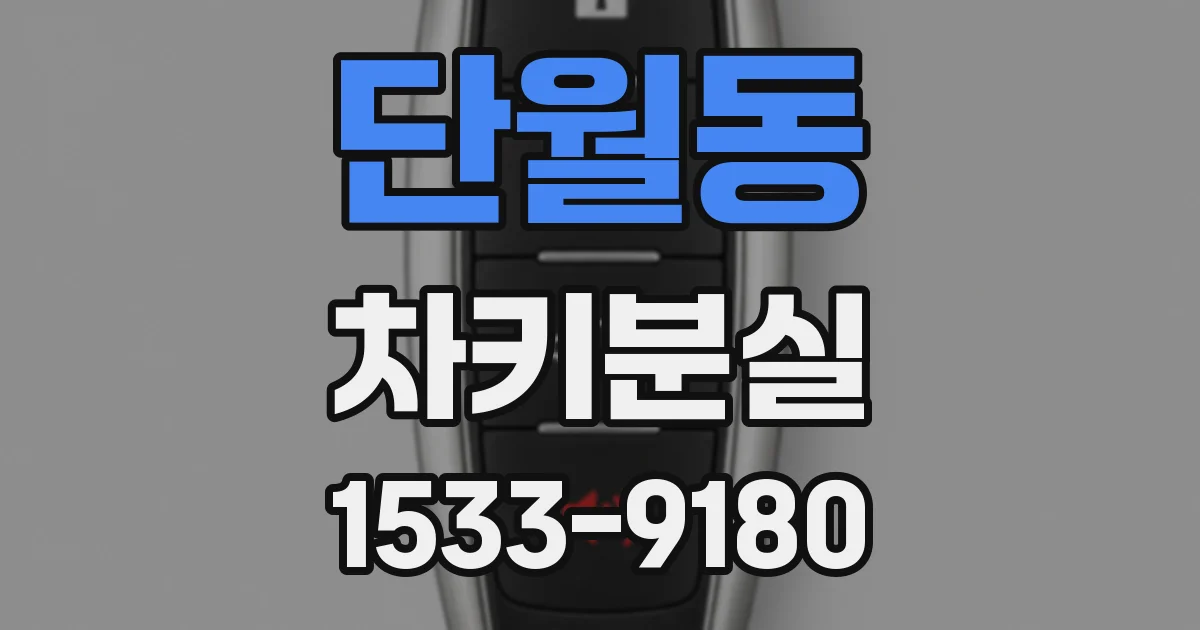 단월동 차키분실