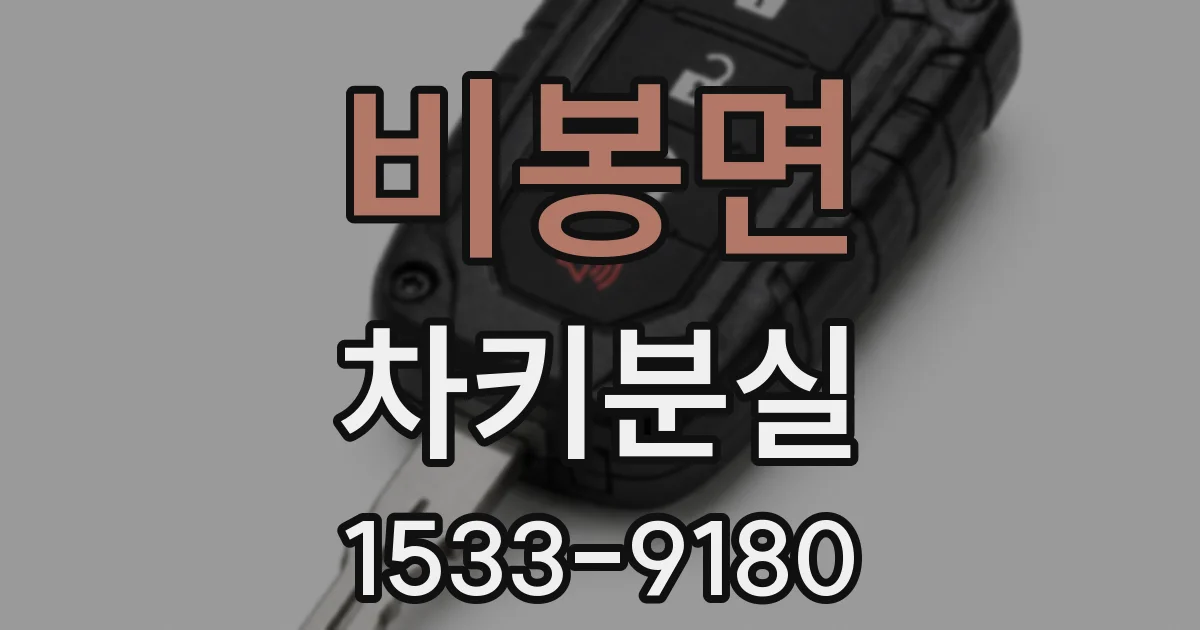 비봉면 차키분실