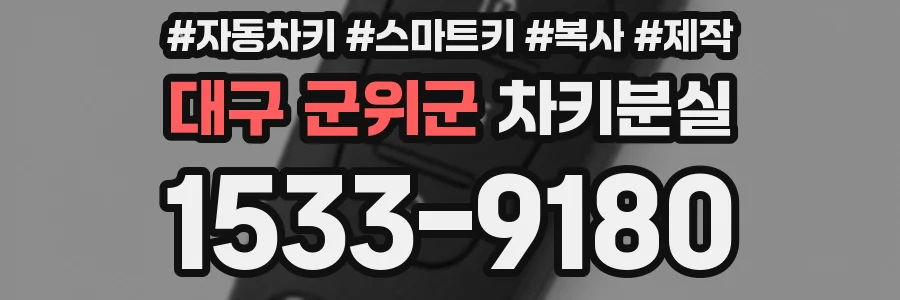 대구 군위군 차키분실