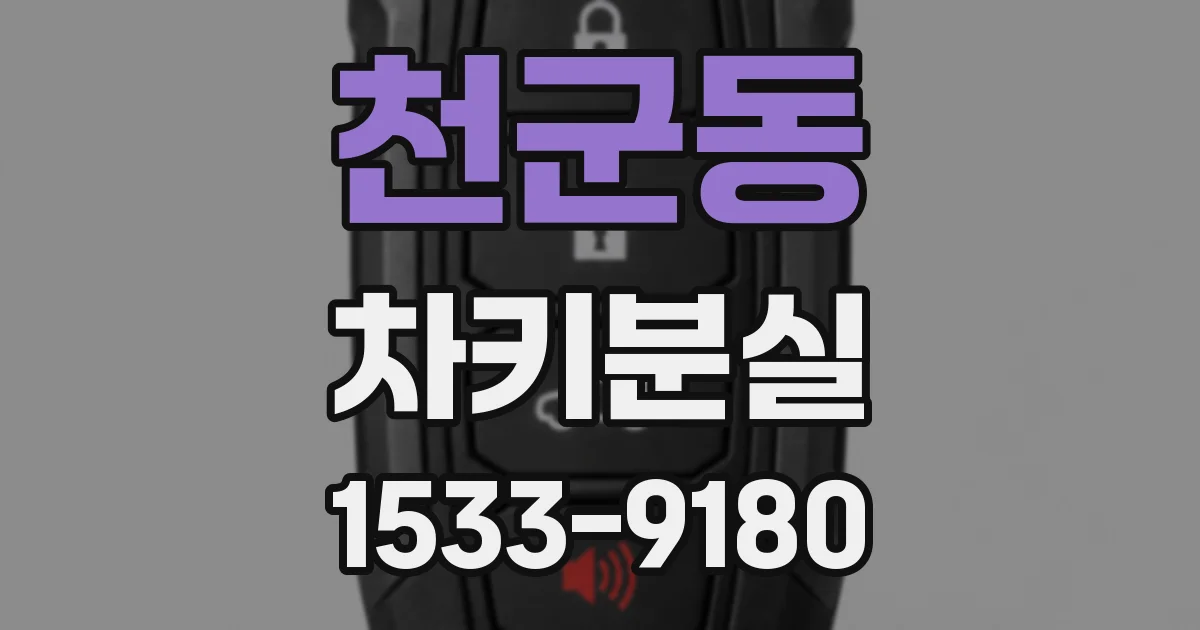 천군동 차키분실