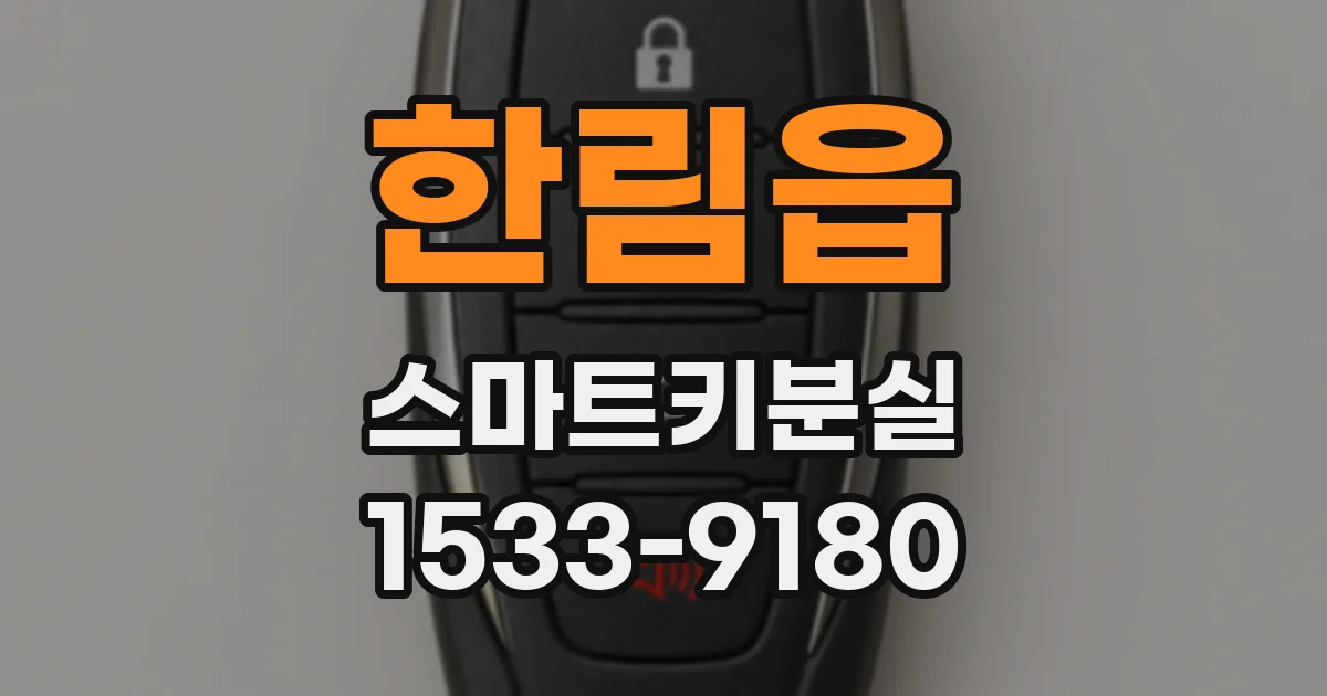 한림읍 스마트키분실
