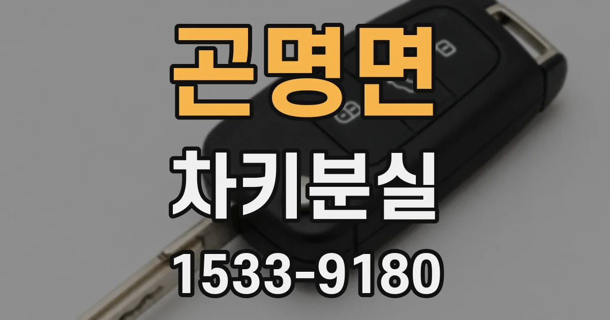 곤명면 차키분실
