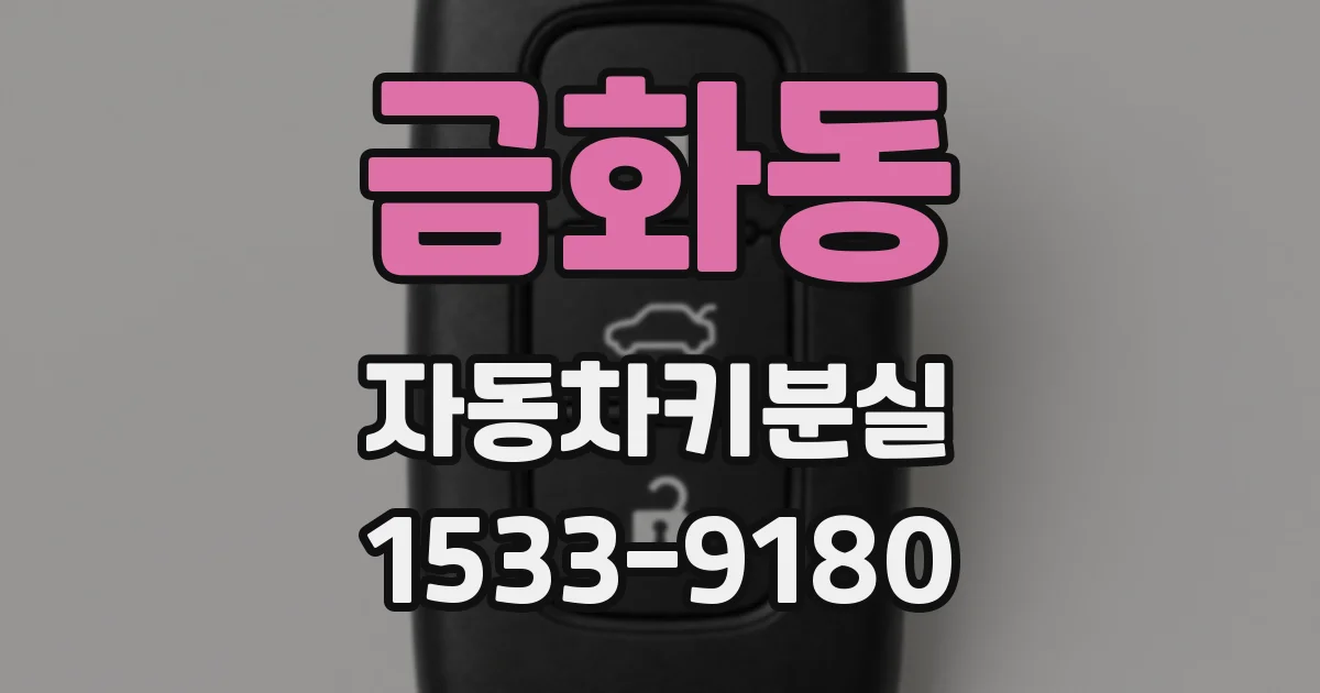 금화동 자동차키분실