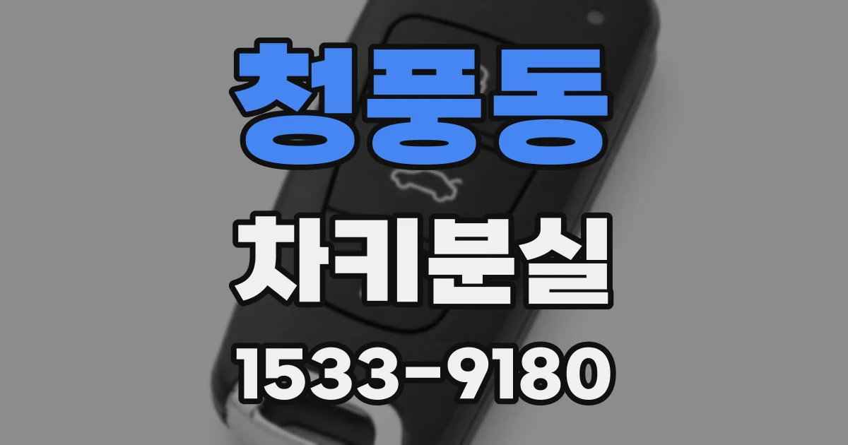 청풍동 차키분실