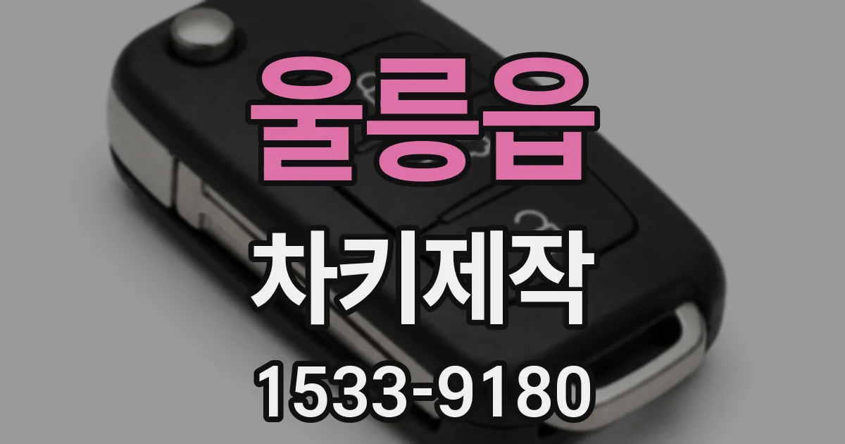 울릉읍 차키제작