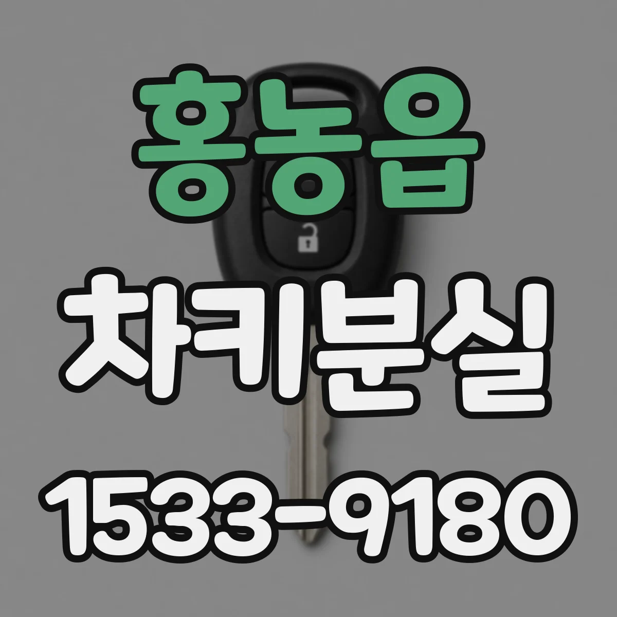 홍농읍 차키분실