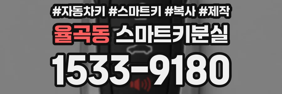 율곡동 스마트키분실