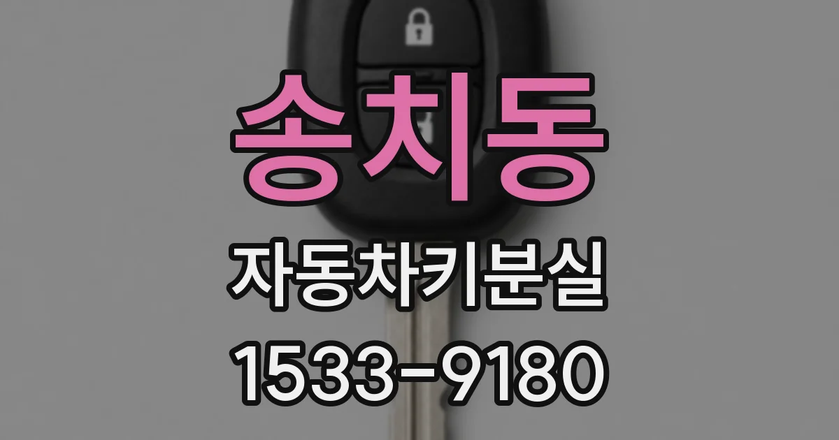 송치동 자동차키분실