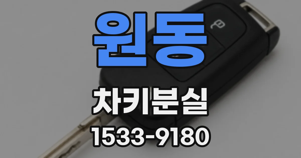 원동 차키분실