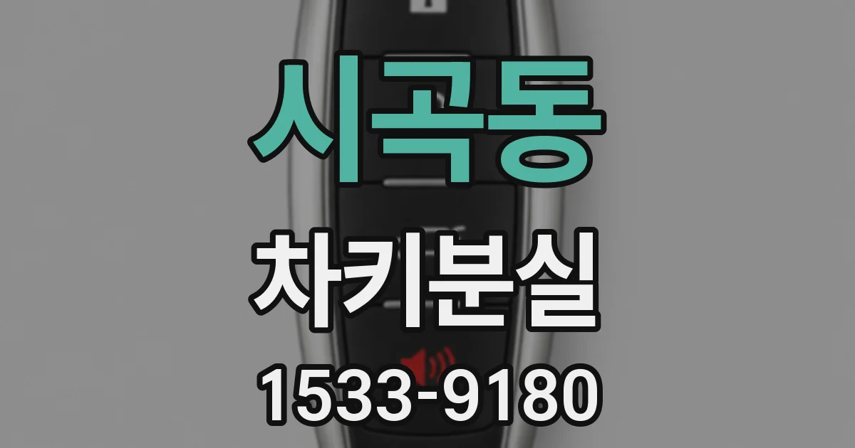 시곡동 차키분실