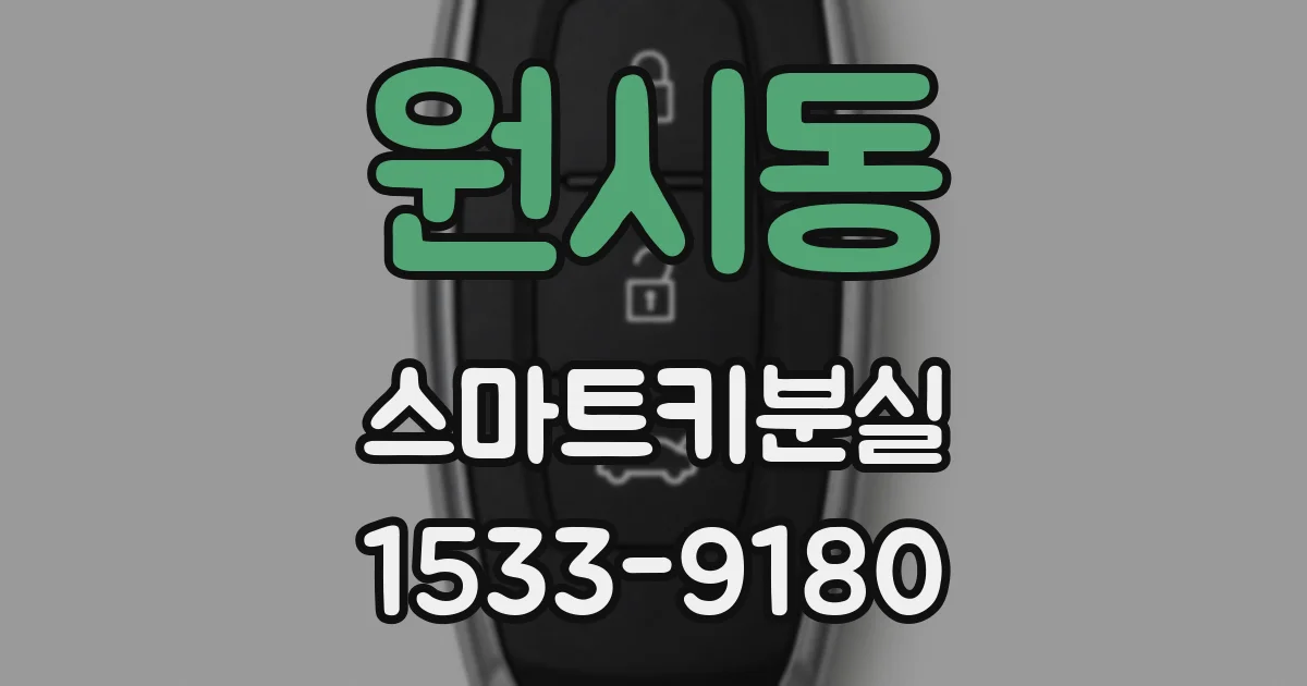 원시동 스마트키분실